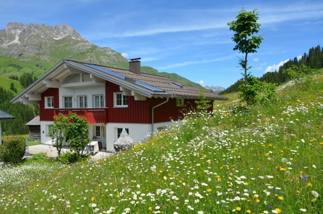 Haus Anja mit Karhorn und Blumenwiese