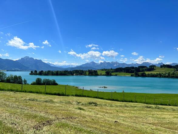 Forggensee