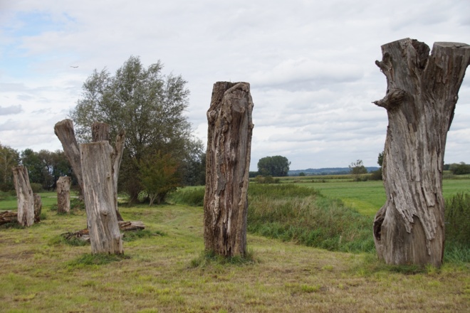 Totholzareal Eichenkofen