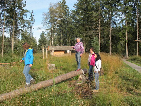 Balancierbaum in den Sterntaler Filzen.