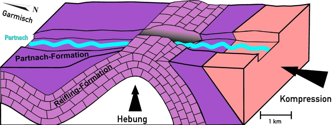 Im Verlauf der Gebirgsbildung wurden die Gesteine gefaltet und im Bereich der Partnachklamm herausgehoben. Nach Rückzug des Eises vor ca. 12.000 Jahren schnitt sich die Partnach senkrecht in die harten Gesteine der Reifling-Formation ein.