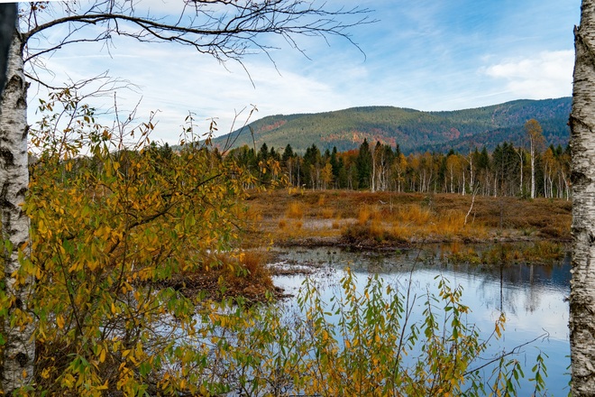Herbst im Inzeller Moor