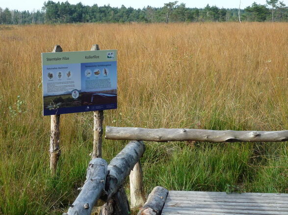 Vogelbeobachtungsstation in den Sterntaler Filzen.