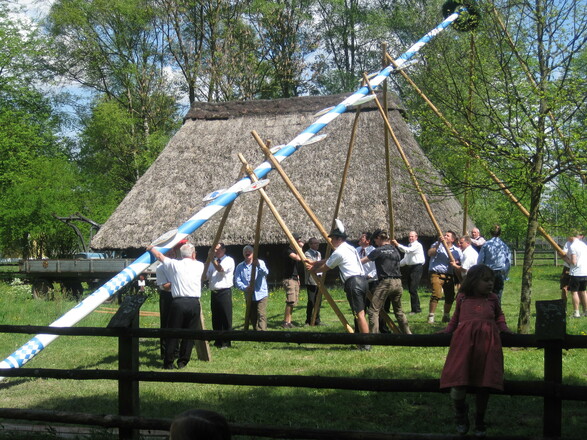 Maibaumaufstellen vor dem Herderhaus