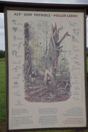 Totholzareal Eichenkofen Tafel