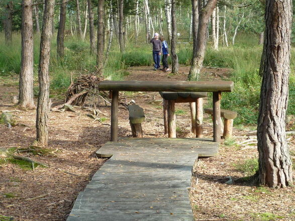 Tierbeobachtungsstelle am Ende des Bohlenweges.