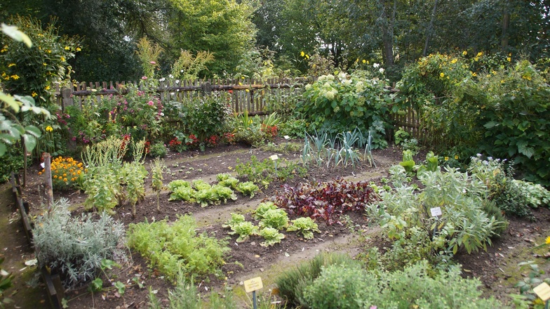 Bauerngarten im Bauernhausmuseum
