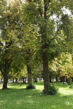 Lindenhain Bergham