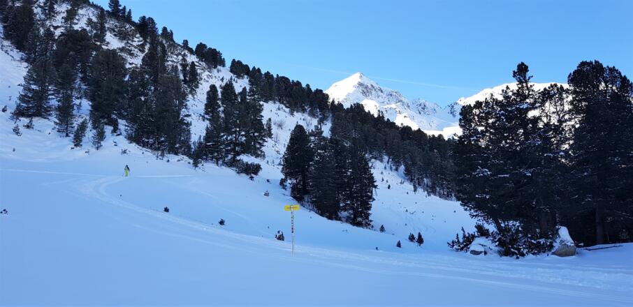 Am Ende der Staumauer nach rechts (Westen) auf dem Forstweg Richtung Mittertal.