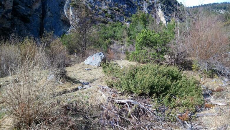 im Abstieg nach der Abzweigung Richtung Telfs