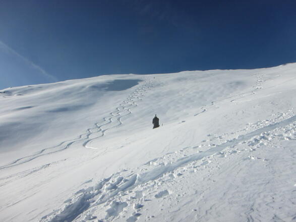 Der breite, ca. 30° steile Gipfelhang des Schafzolls wird häufig über die ganze Breite befahren.