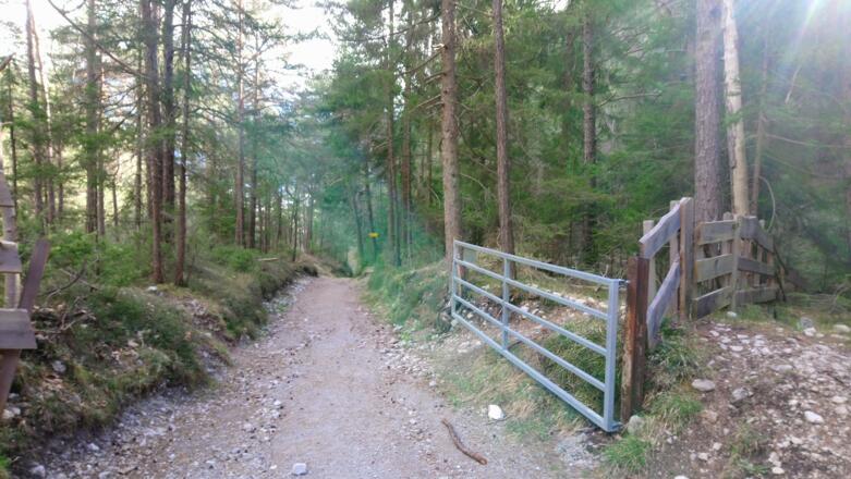 nach diesem Gatter heißt es beim Wegweiser nach rechts einbiegen.