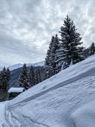 Neuschnee Talabfahrt Gaschurn
