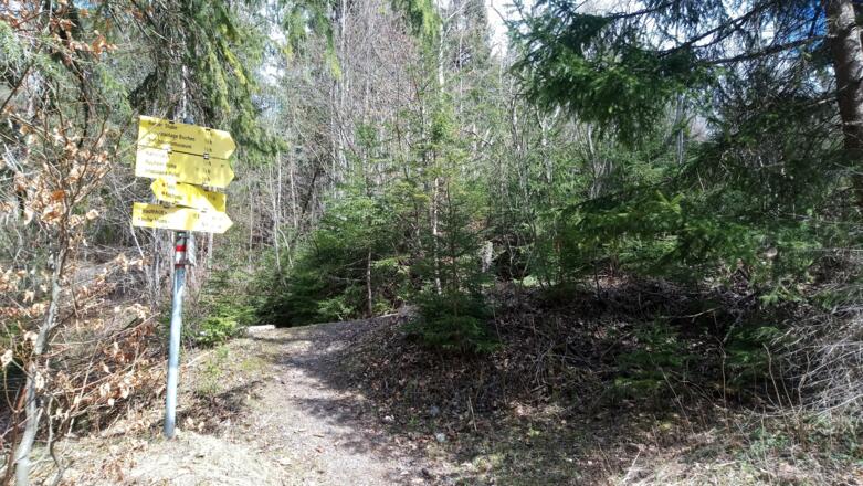 steil wird es nun bis zur Verbindungsstraße Leutasch-Telfs