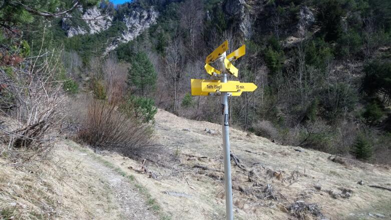 im Aufstieg weiter geradeaus, im Abstieg nach &quot;Telfs Sagl&quot; abzweigen