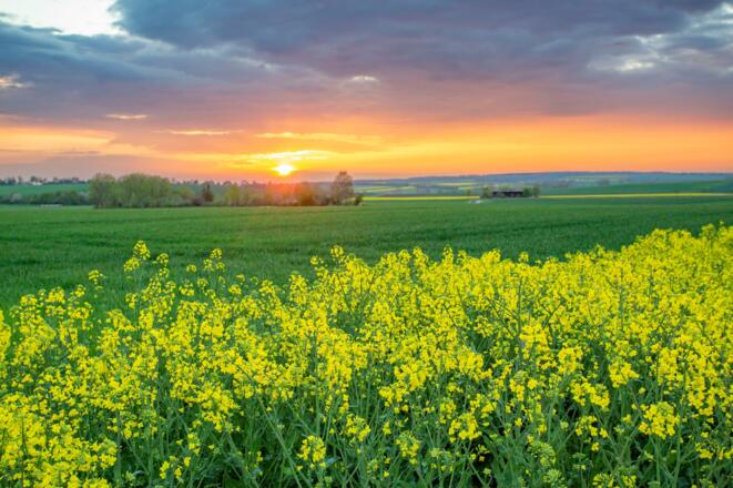 Sonnenuntergang wie aus dem Märchenbuch