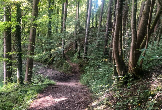 Tipp: hier rechts die Auffahrt hoch und dann rechts wieder bergab,