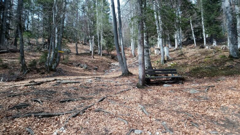 zahlreiche Bankerl laden zum Rasten ein