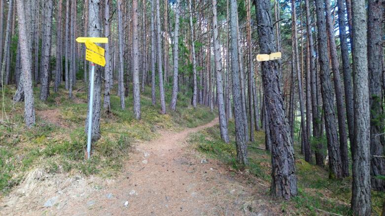 Immer den Wegweisern Kochental folgen