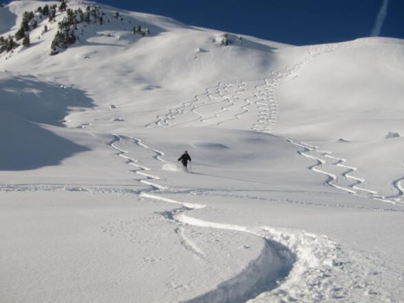Perfektes Gelände zur Abfahrt.
