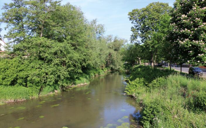 Fränkische Saale in Wülfershausen
