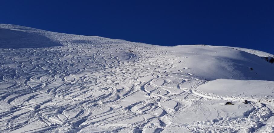Der breite Gipfelhang in idealer Neigung (knapp um die 30°). Der Aufstieg erfolgt an der rechten Hangbegrenzung bis knapp unter den Kamm.