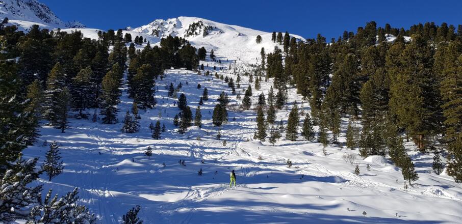 Über den Talboden und weiter ansteigend duch die markante Waldschneise bis zur Baumgrenze.