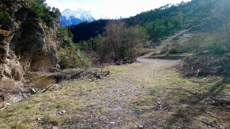 auf dieser Forststraße geht&#039;s durchs Kochental dem Bach entlang hinaus