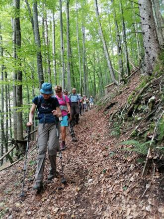 Abstieg durch Waldgelände