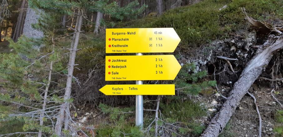 zurück nach Kapfers