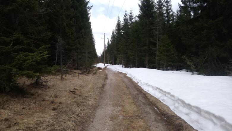 Die Abzweigung zur Rauthhütte bereits in Sicht
