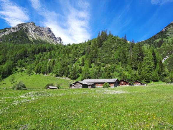 Kurz vor der Unteren Brüggele Alpe