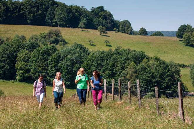 Rothenbuch - an der Heidenlückentür