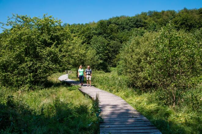 Bohlensteg im Hafenlohrtal