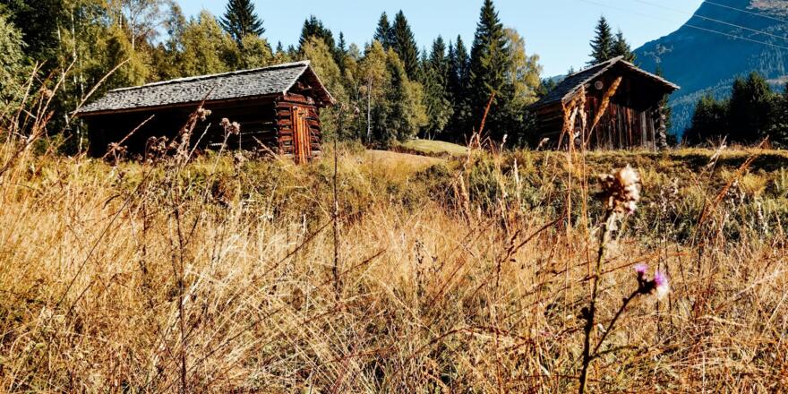 Herbstwanderung am Kristberg