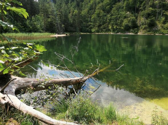 Eibensee