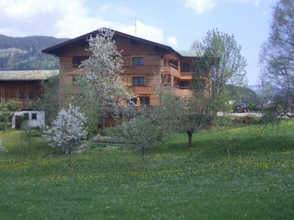 Frühling