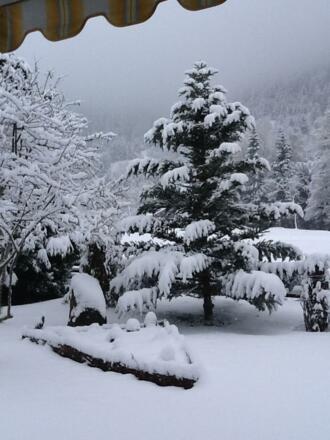 Wintereinbruch der 2.