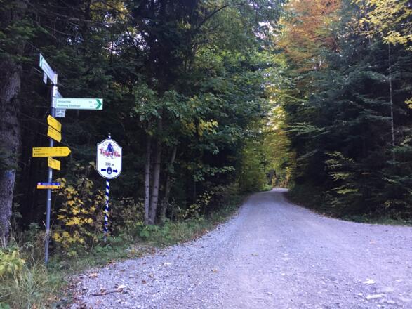 kurz vor dem Ziel Tregleralm