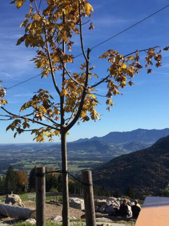 Panoramablick Tregleralm