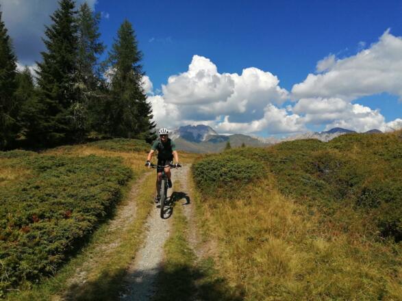 Jetzt geht es ins Tal...