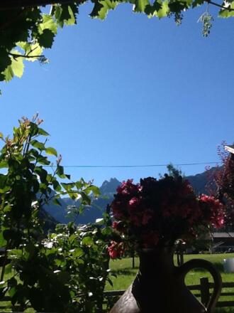Sommer aus unserem Küchenfenster