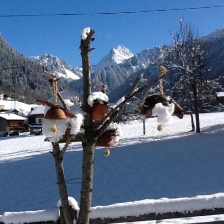 Auch die Vögel haben "WINTER"