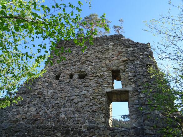 Ruine Bad Sonnenberg