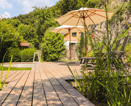 Schwimmteich / Terrasse