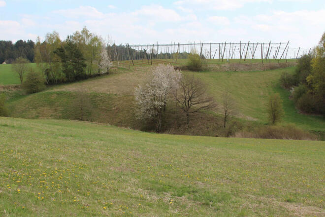 Blick auf den Hohlweg bei Unterwangenbach