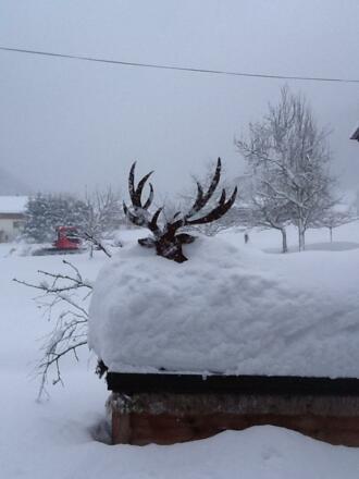 Jetzt steht im der Schnee schon bis .....