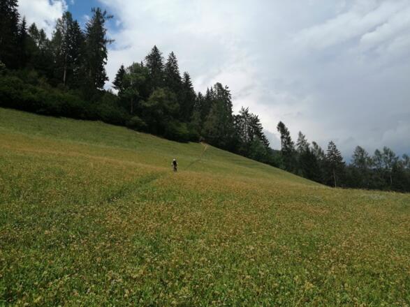 Am versteckten Trail geht es nochmal ordentlich zur Sache...