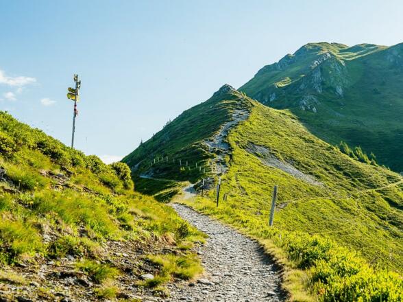 Unterhalb vom Statzerhaus
