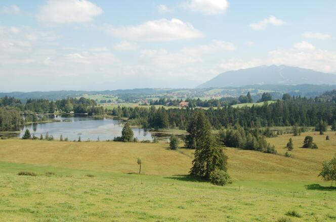 Ausblick von der Schönegg Alm auf den Schwaigsee.